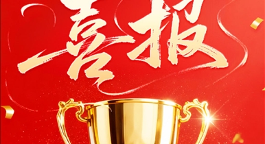 喜报｜瑞霆智汇顺利通过2026国家级专精特新 “小巨人” 复核